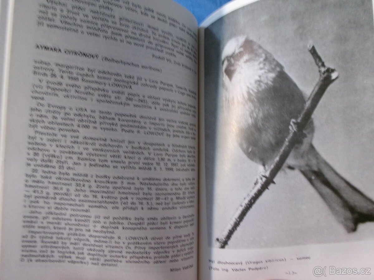 PIZ exotické ptactvo + kanáří 1982-1991 - komplet. - 4