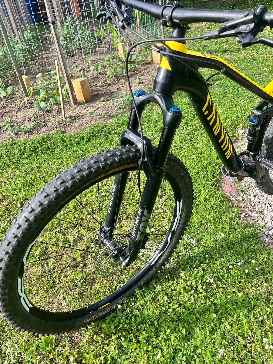 Canyon neuron 7 - 4