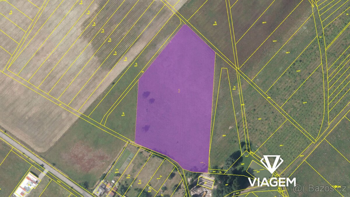 Pole 16 160 m², Podíl 50 % o výměře 8 080 m² - 4