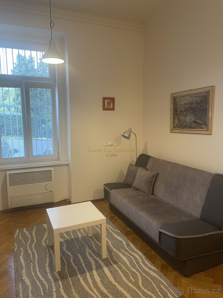 Pronájem bytu 1+kk, 17 m², Praha 10 – Vršovice, ulice Holand - 4