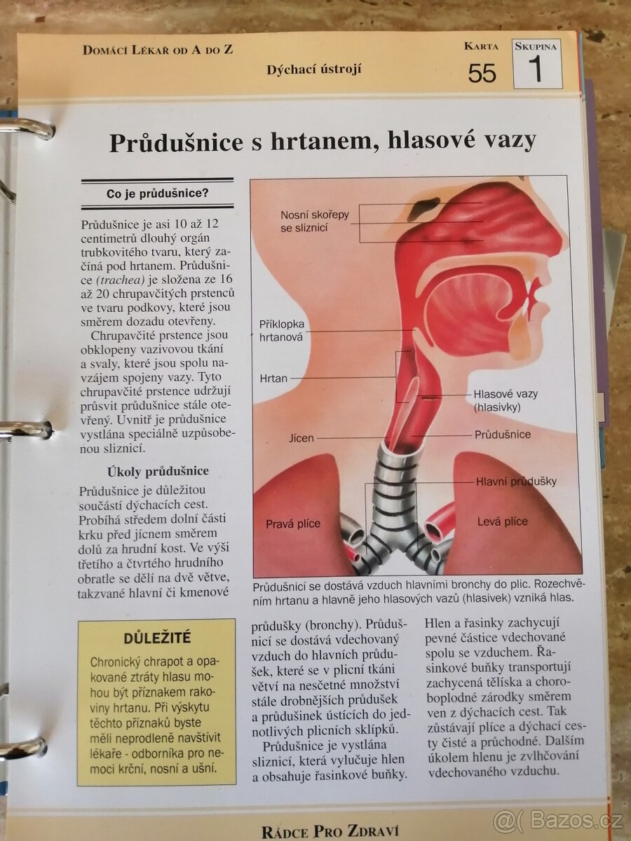 Domácí lékař od A do Z - Rádce pro zdraví - 4