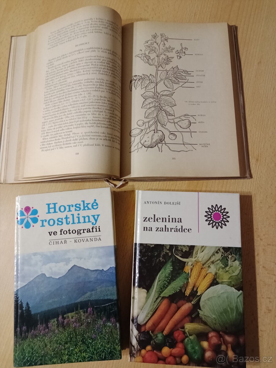 Naše zahrádka,Ovocnictví zelinářství,Škola ovocnáře - 4