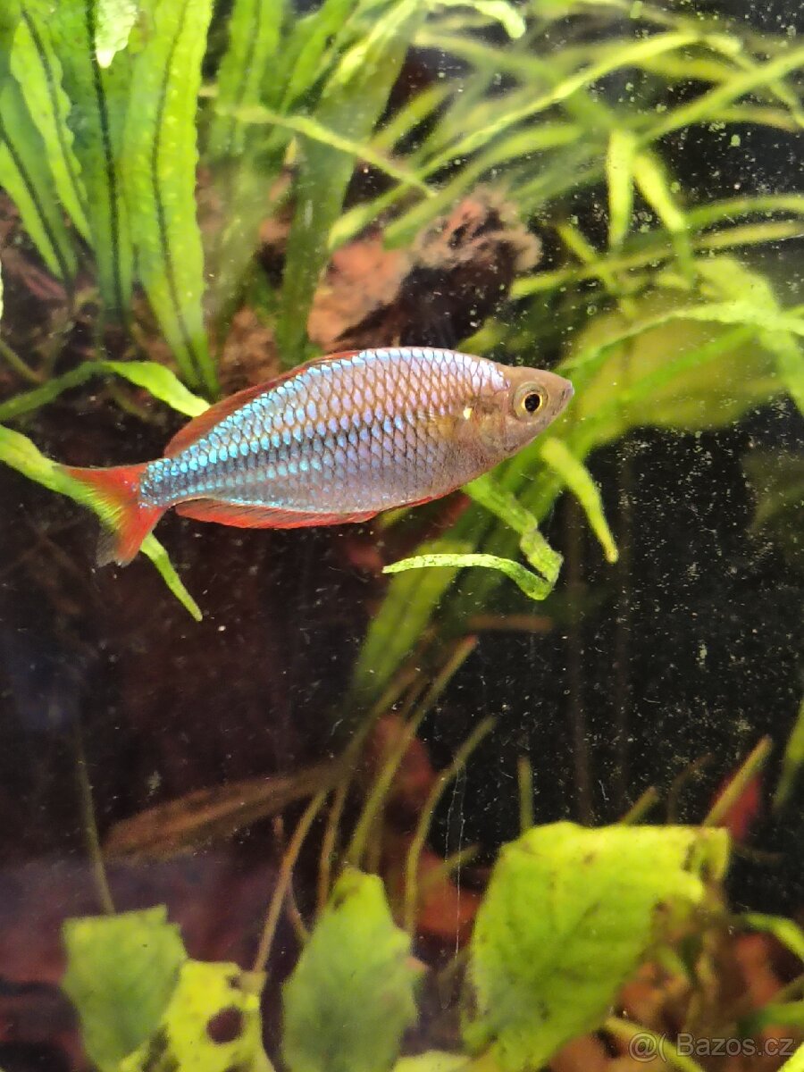 Akvárium 126l komplet - 4