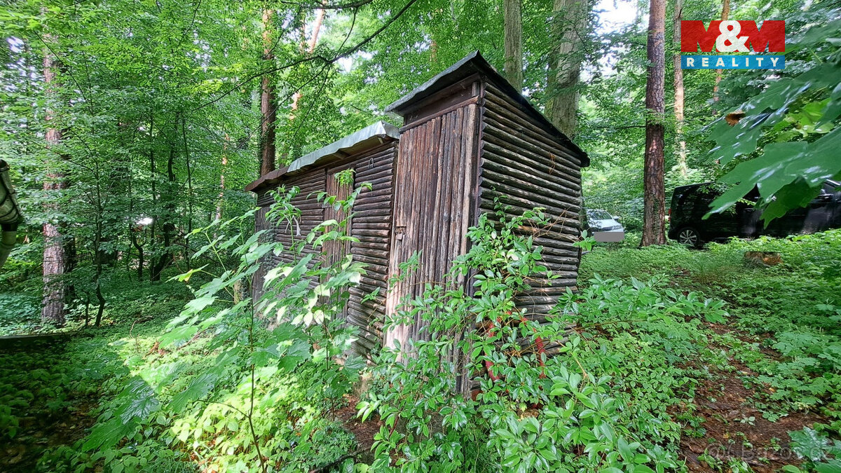 Prodej chaty, 52 m², Bítov - Vranovská přehrada - 4