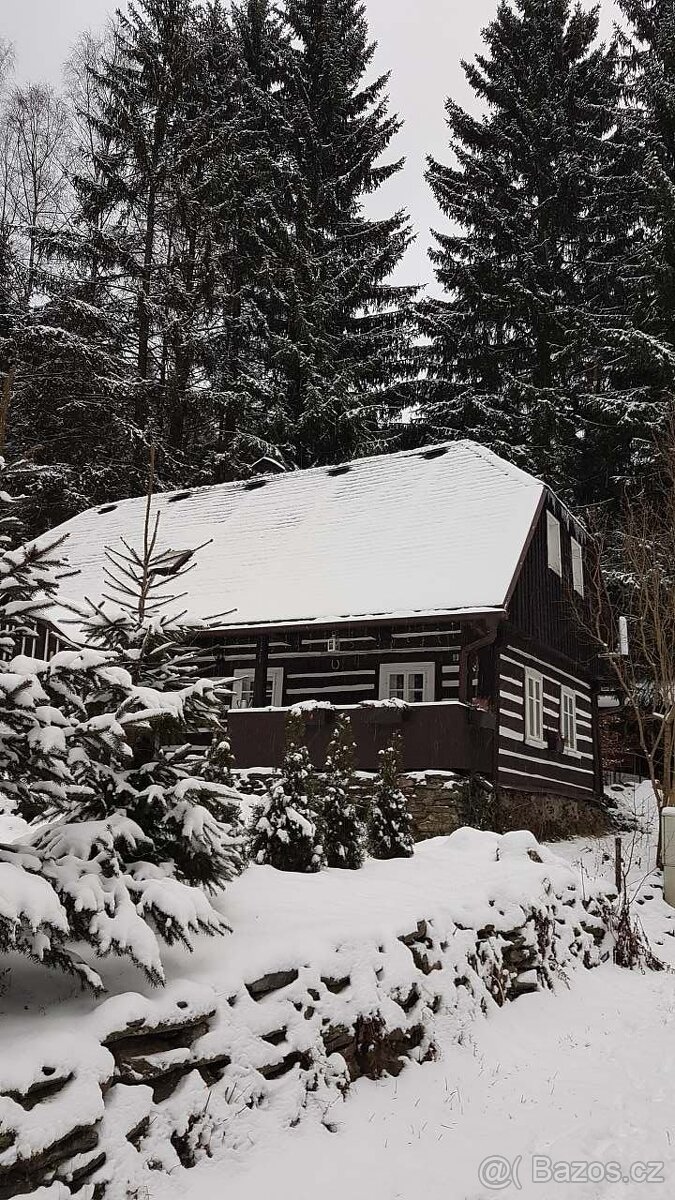 Týdenní pobyty na horách na chalupě u svahu (vzd. 300m) - 4