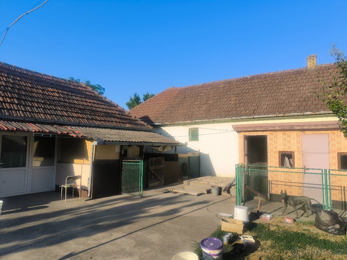 🏡 Dva domy v klidné části obce na severu Srbska - 4