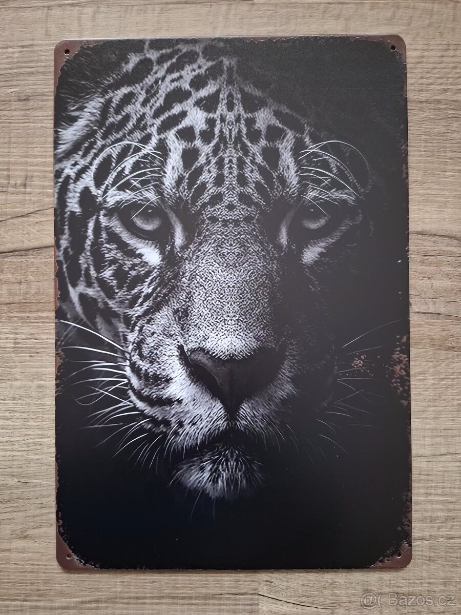 Plechová cedule 20x30cm černobílá - 4