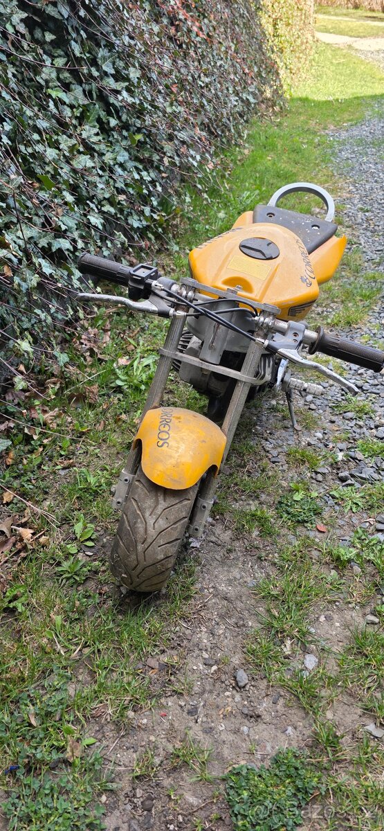 Minibike - 4