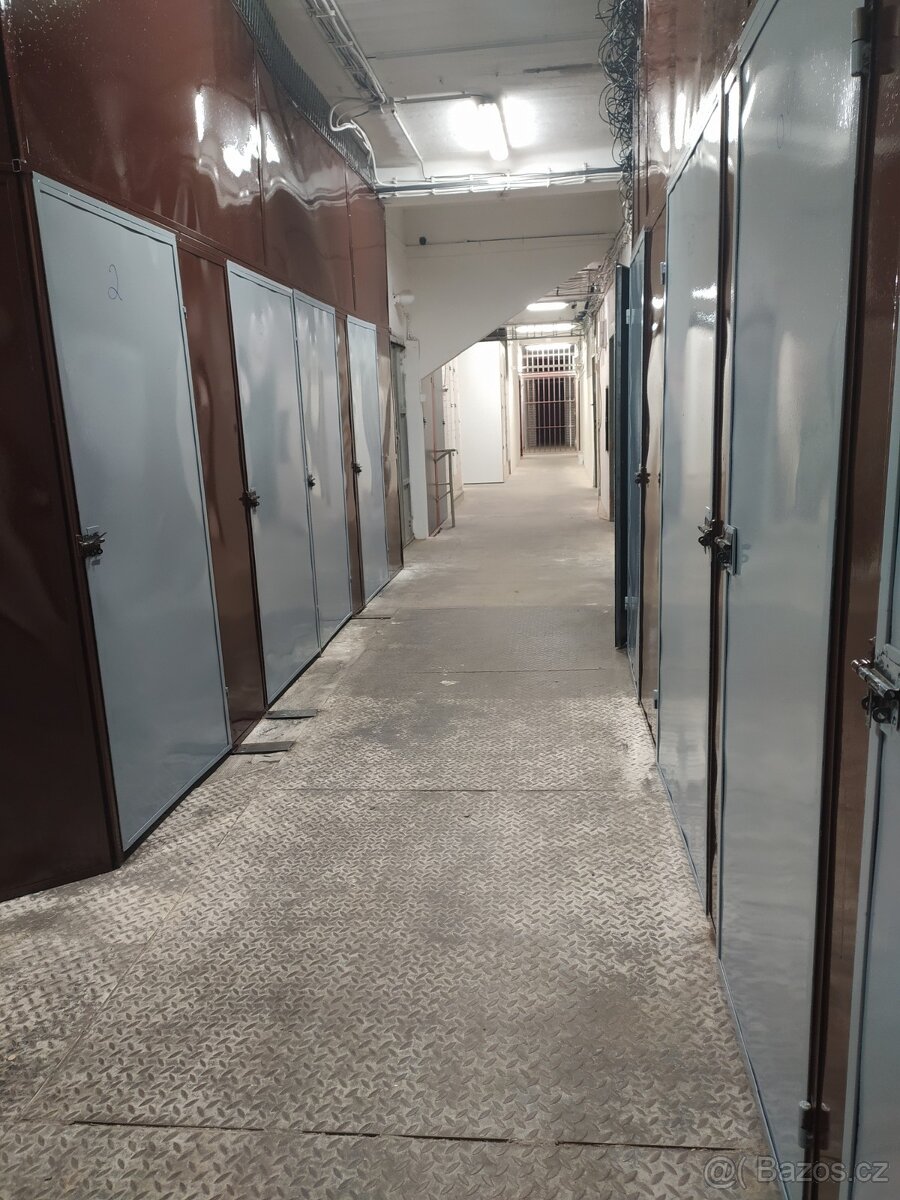 SLADOVACI KOJI PLZEN. - 4