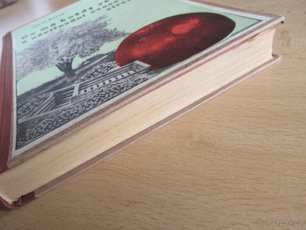 OVOCNÉ STROMY - CO MÁ KAŽDÝ VĚDĚTI - 4