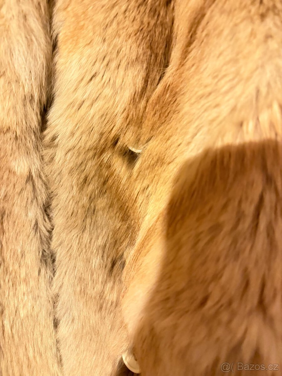 Kožich sibiřský pes - 4