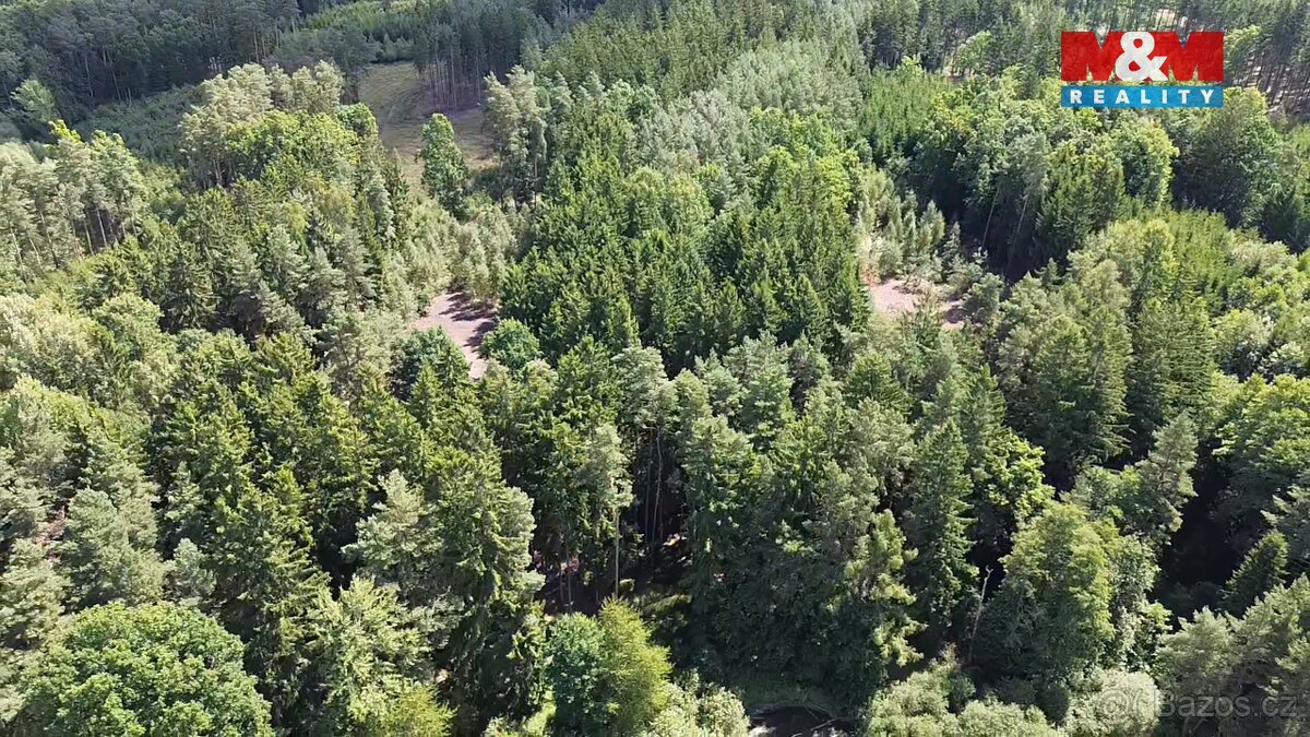 Prodej lesa, 5323 m², Opařany - 4