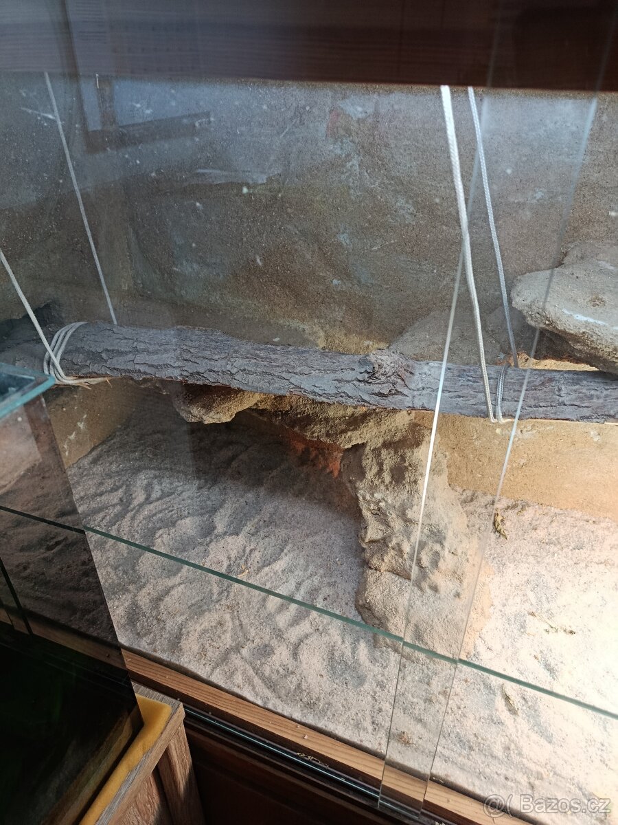 Terárium pro agamu - 4