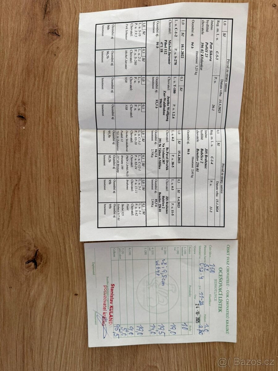 Samec stříbřitý černý - 4