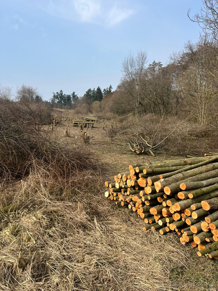 Palivové dříví - 4