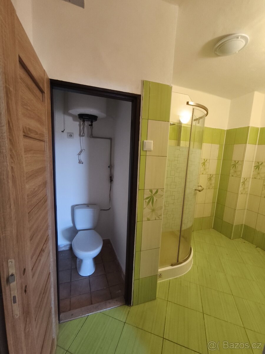 Prodej bytu 3+1, 88, m² + půda, Mankovice - 4