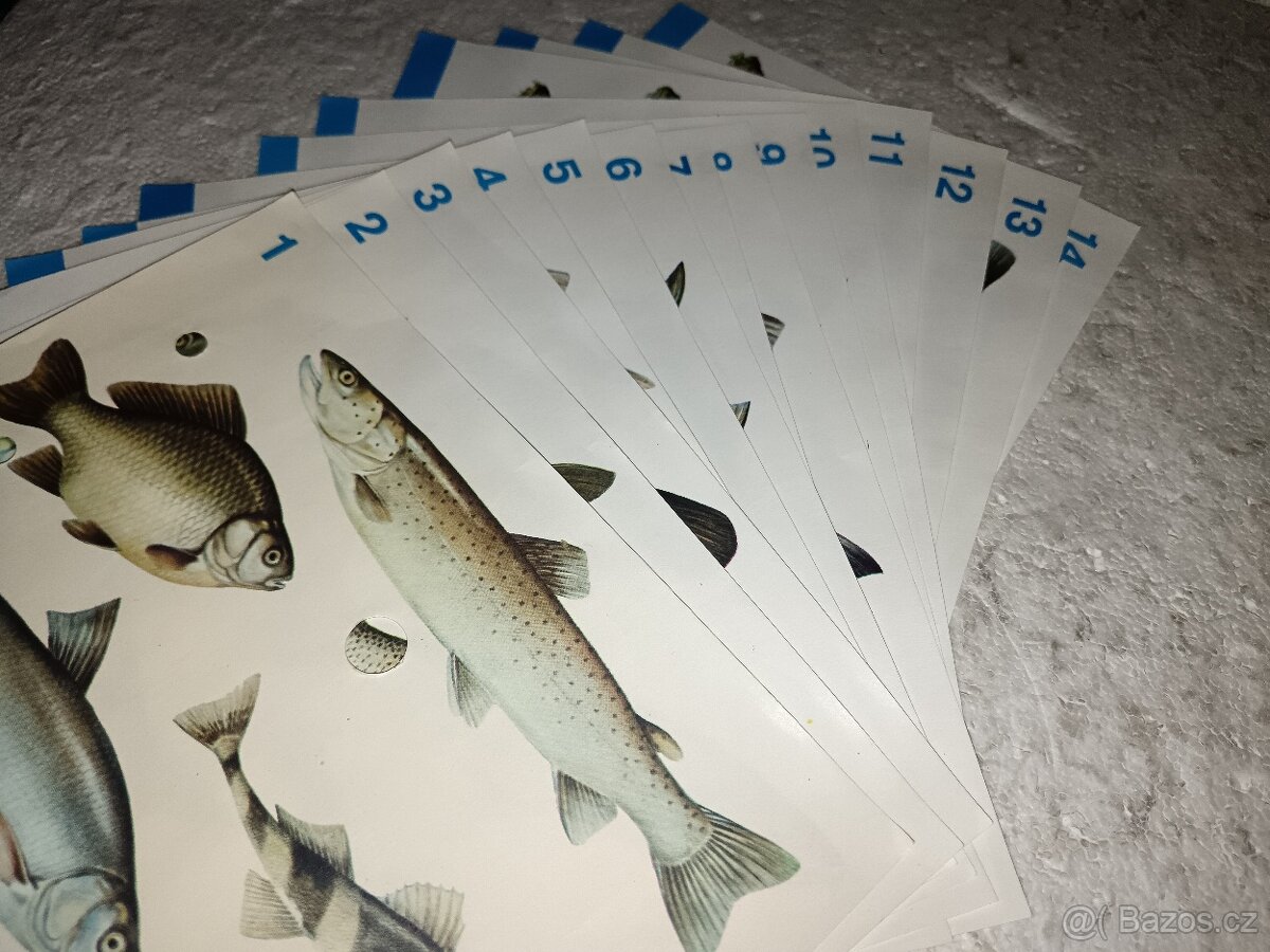 Hra Naše ryby - 4