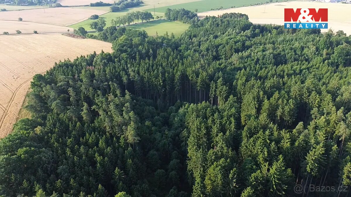 Prodej lesa, 5139 m², Tábor - 4