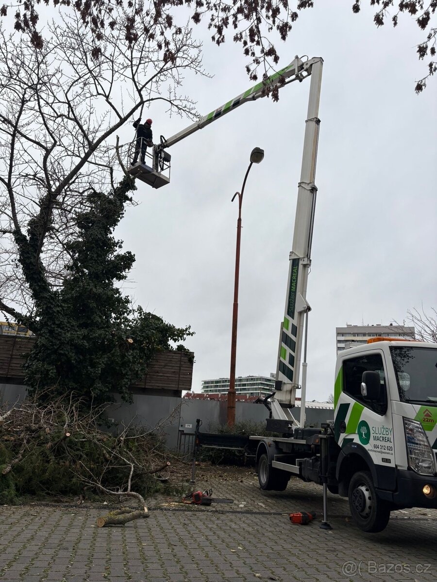 Kácení stromů - 4