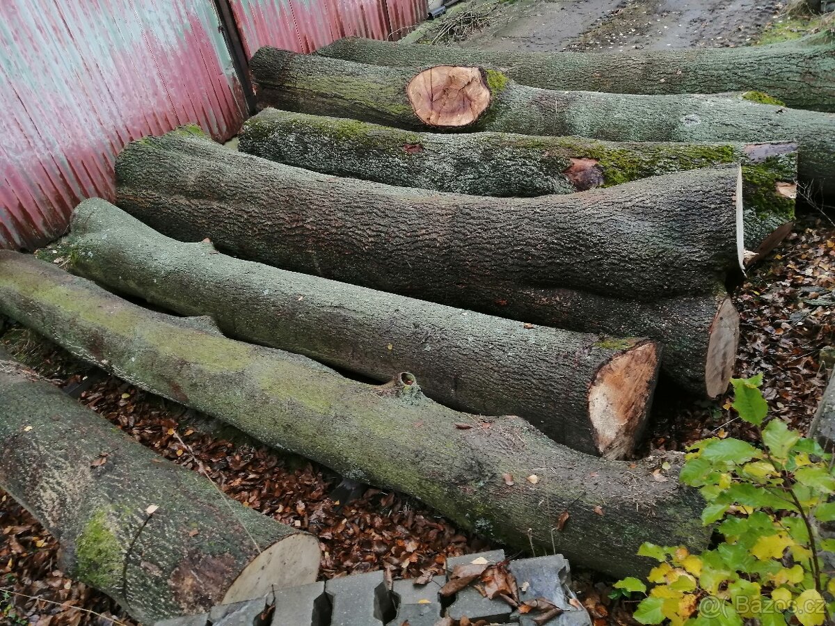 Jasanová kulatina - 4