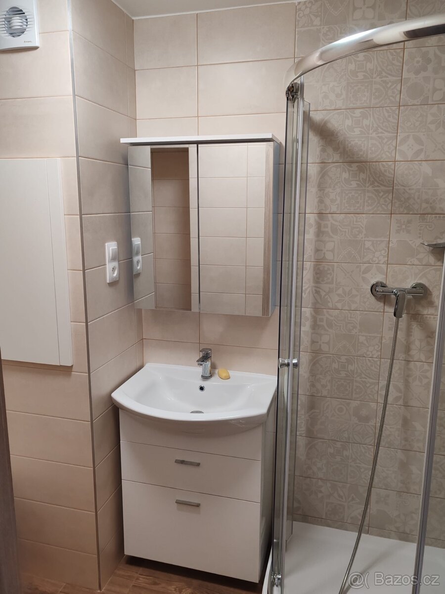 Pronájem bytu - 4