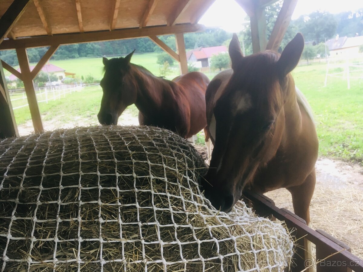 Příkrmiště pro koně + síť - 4