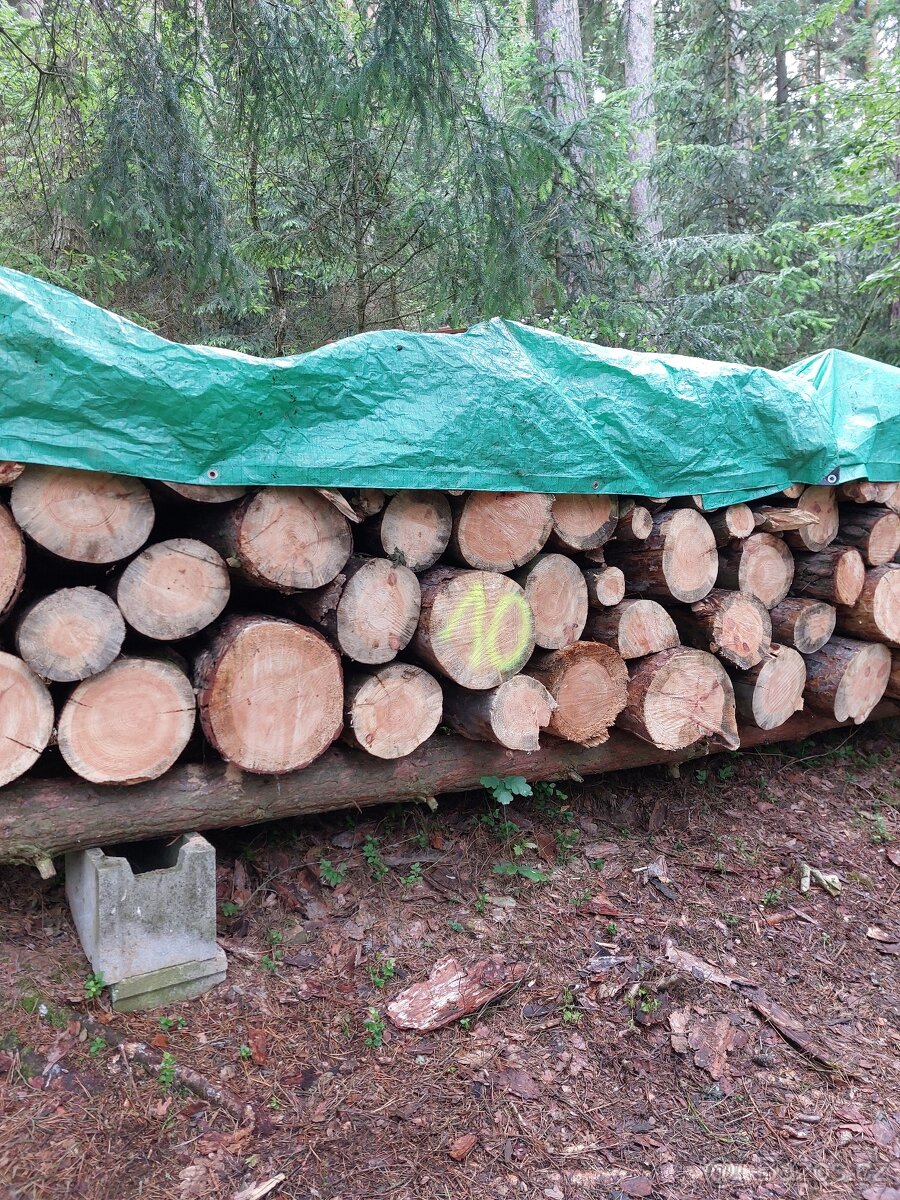 Palivové dřevo "suché" - 4