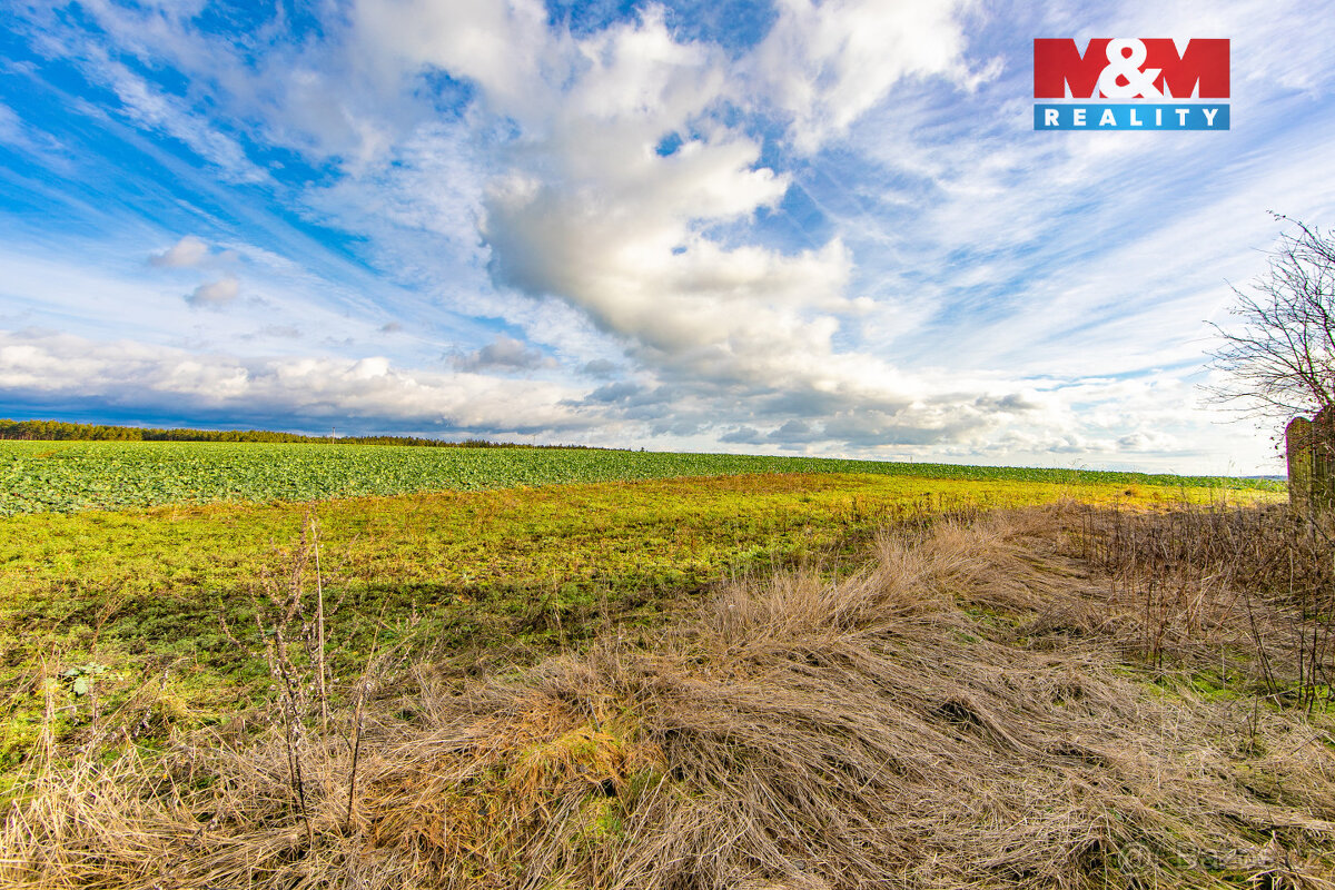 Prodej pozemku k bydlení, 1004 m², Černošín - 4