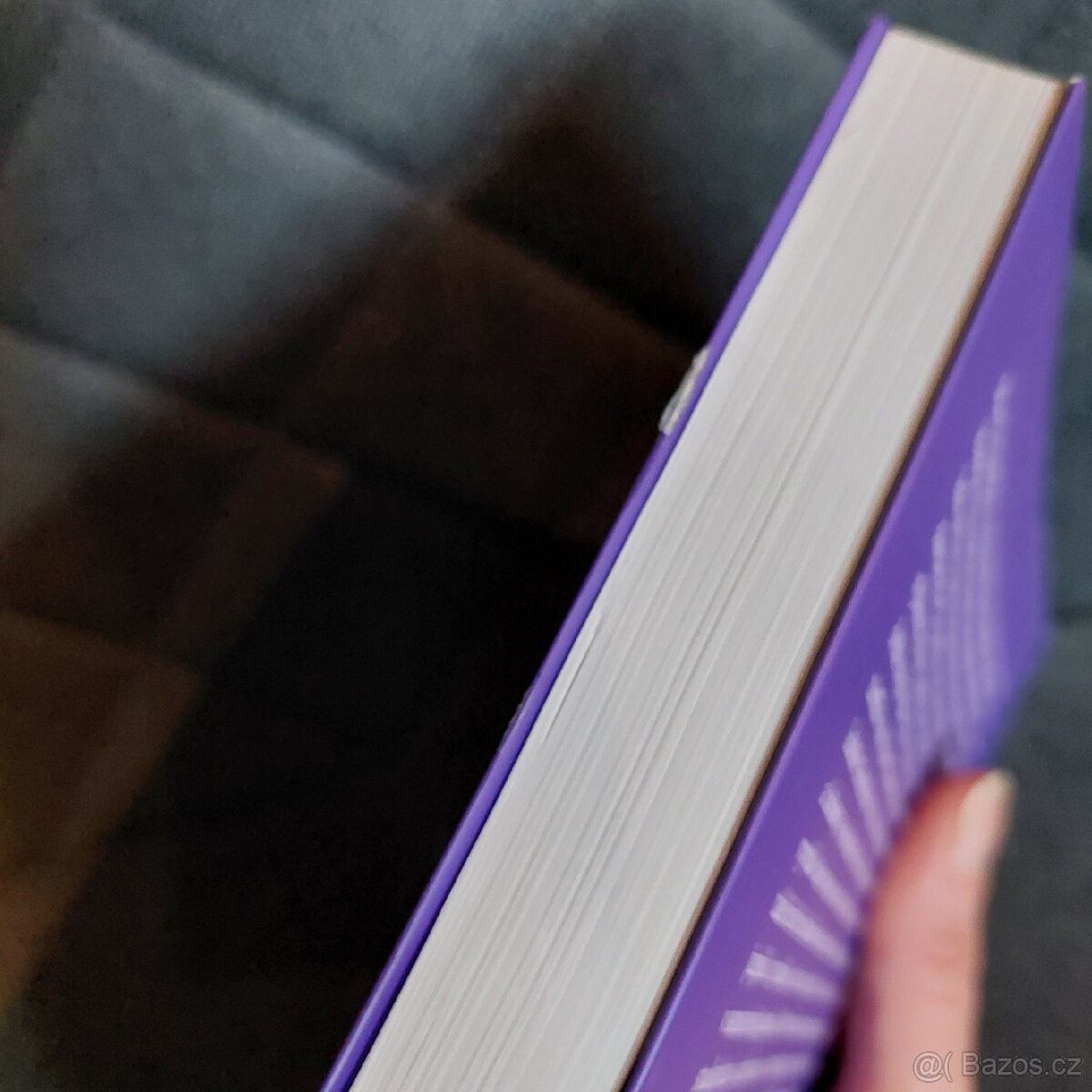 Chryzantéma a meč - 4