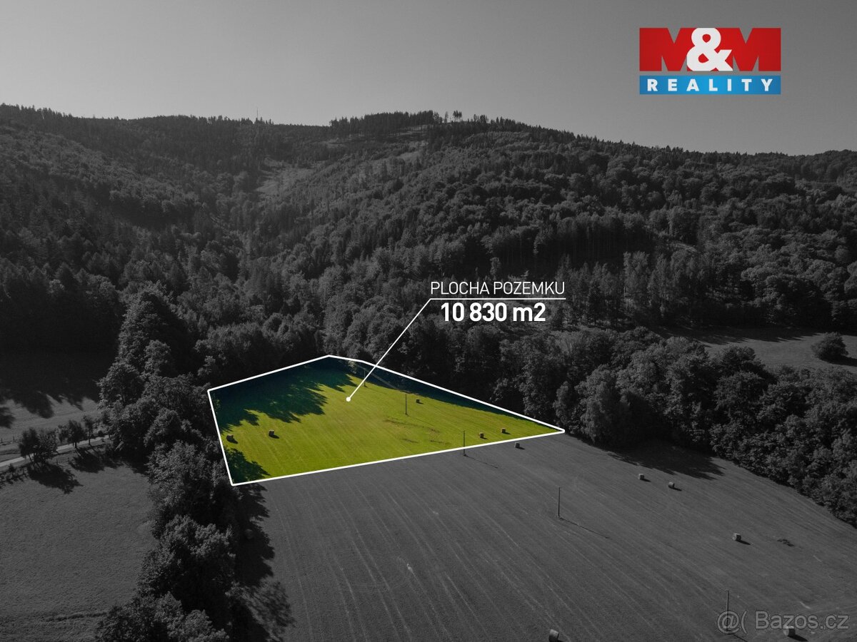 Prodej pastviny, Komorní Lhotka - 4