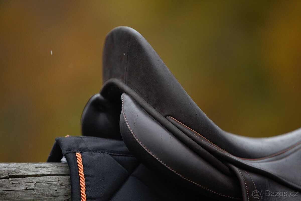 Drezurní Childéric 17,5 - 4