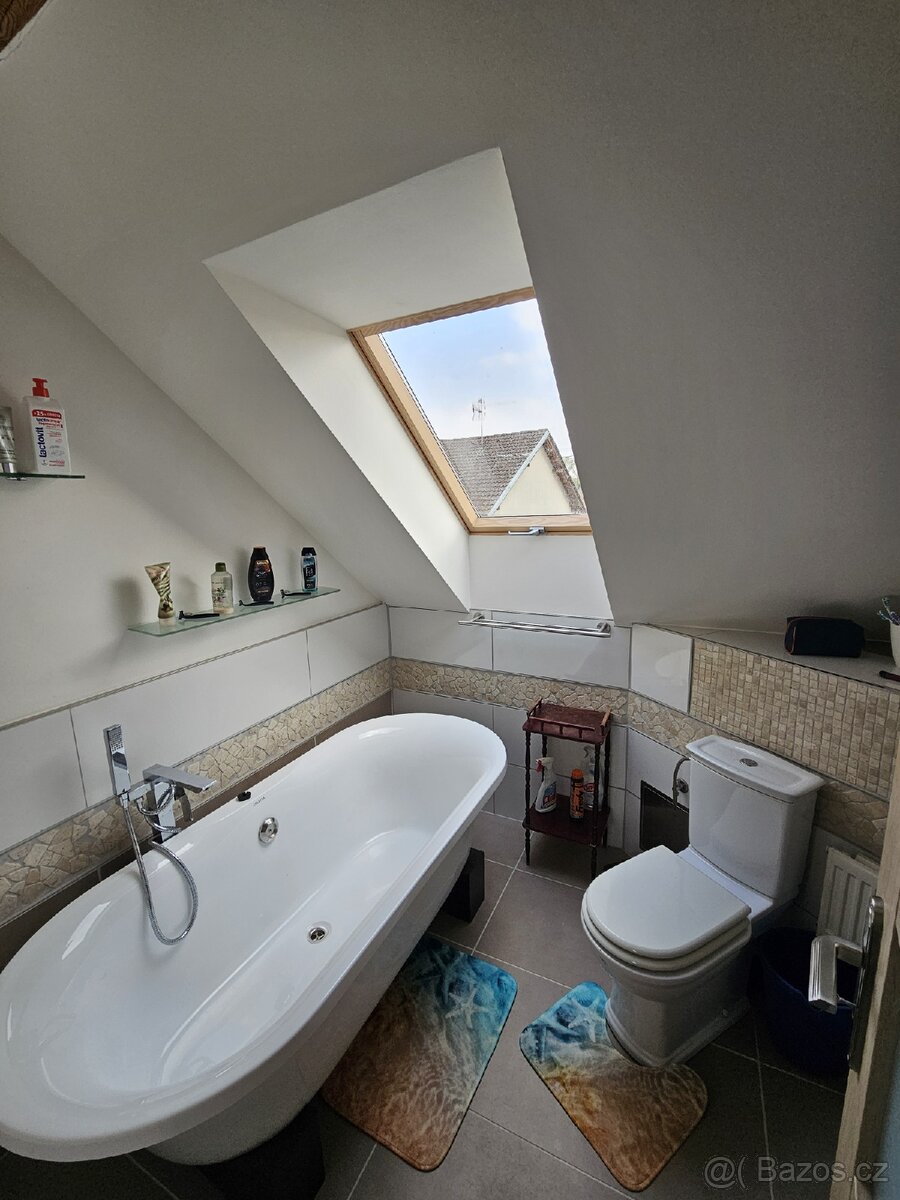 Pronajem bytu 2+1 - 4