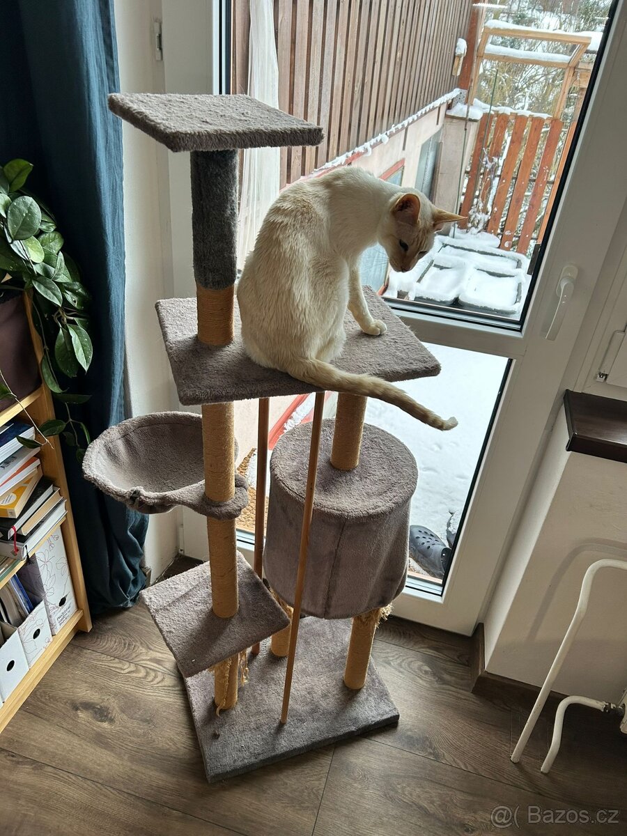 Škrabadlo pro kočky - 4