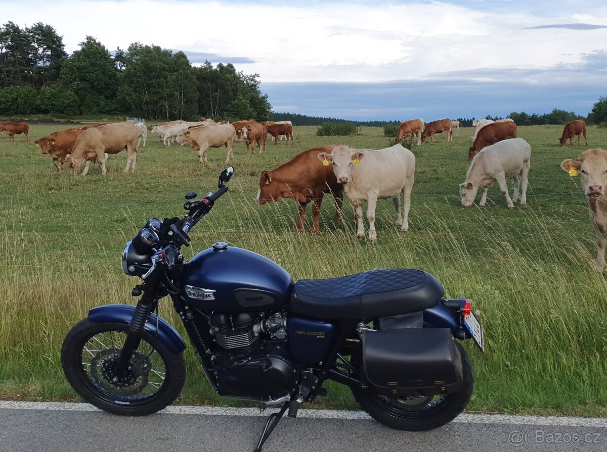 Tiriumph Scrambler - 4