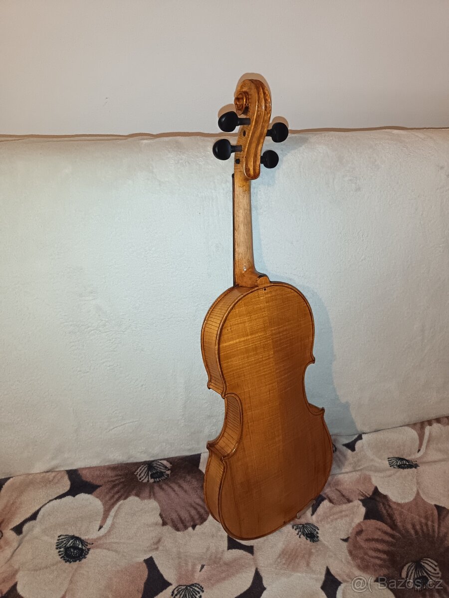 Viola - 4