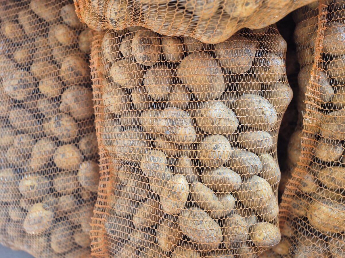 Prodám brambory - 4