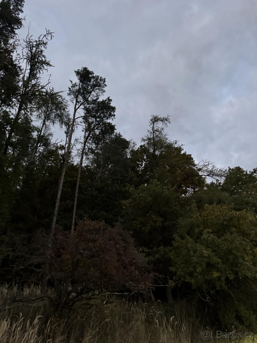 Prodej pozemků v k.ú. Nezdice nad Úhlavou - 4