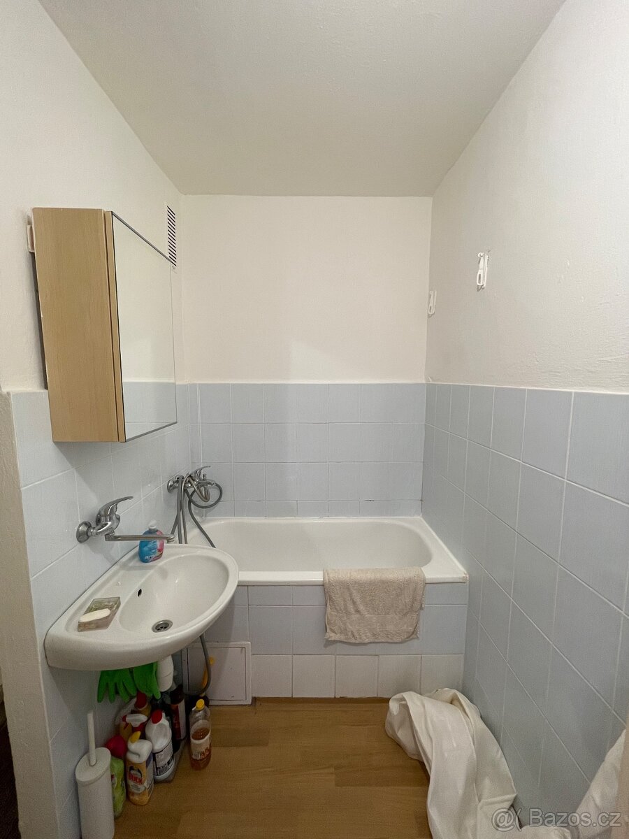 Pronajem 1+1 - 4