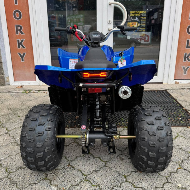 Linhai Dětská čtyřkolka ATV 110 Junior - 4