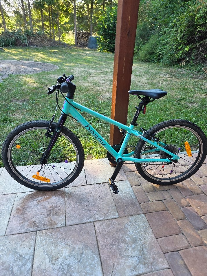 Beany Zero 20 Mint - 4