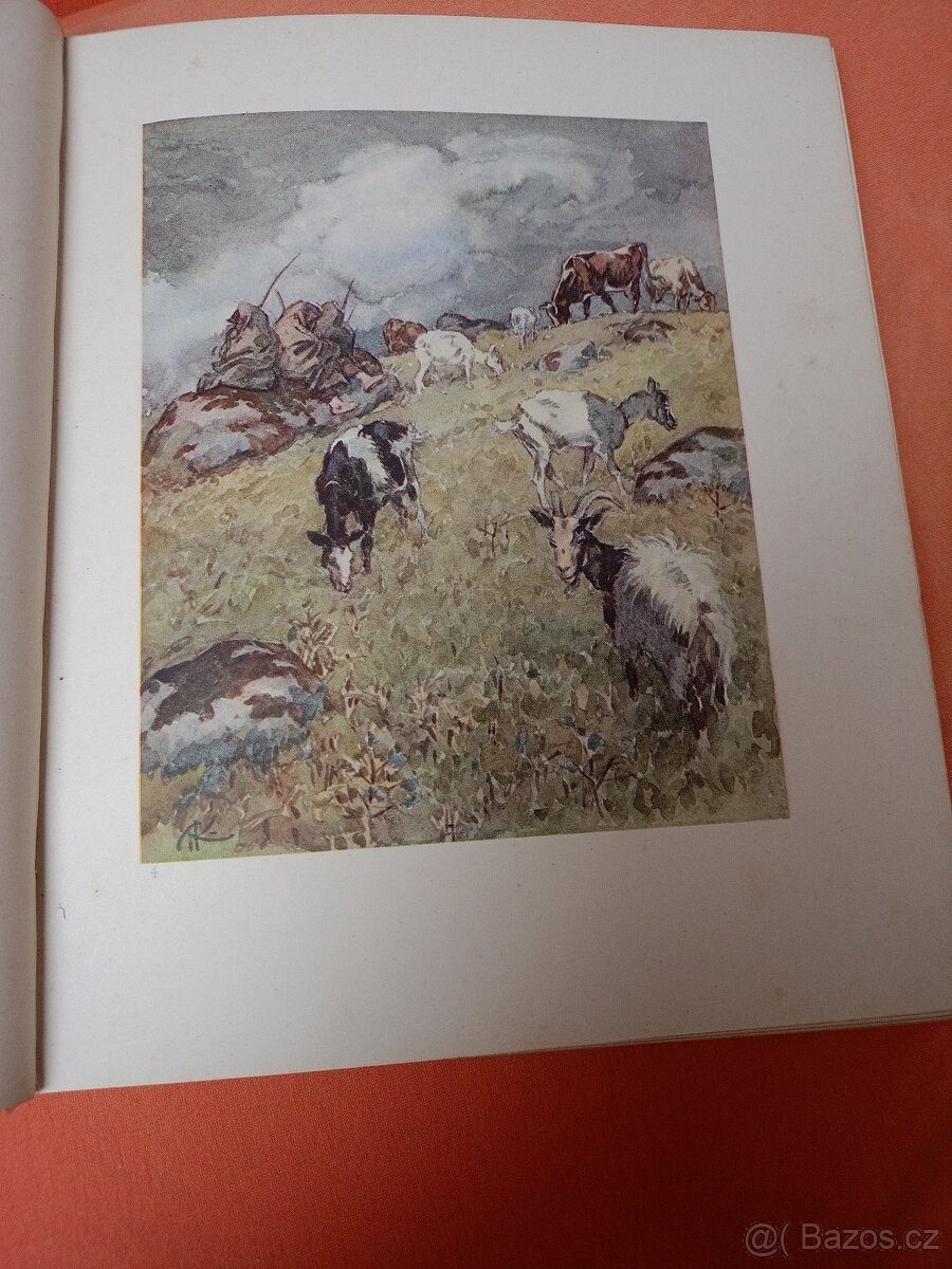Prodám krásnou starou knihu - 4