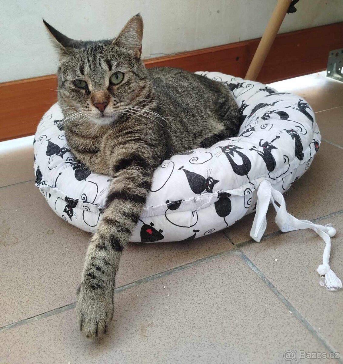 💔 Luky – kluk, který přežil všechno 💔 - 4