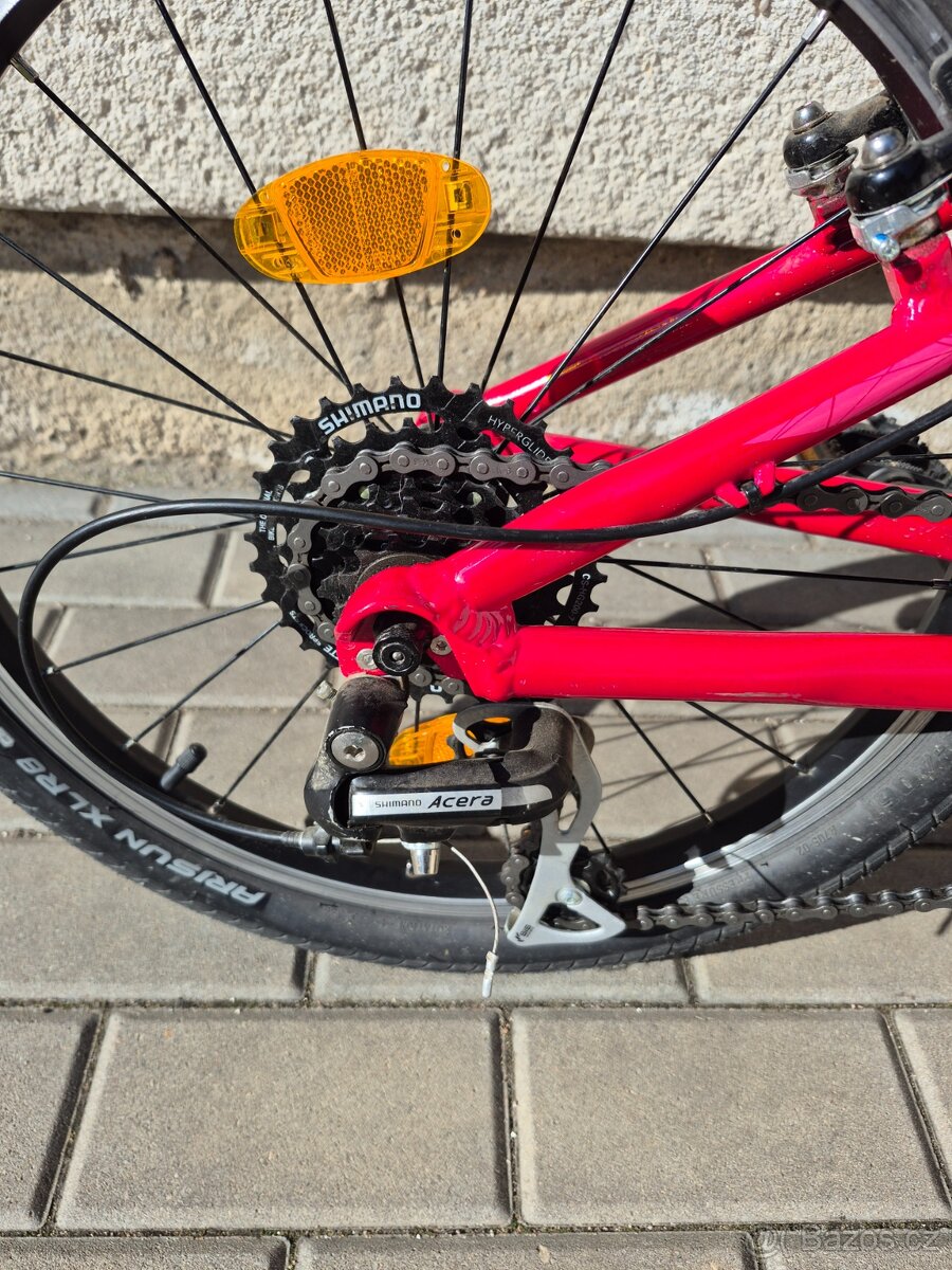 Amulet tomcat 20" - 4