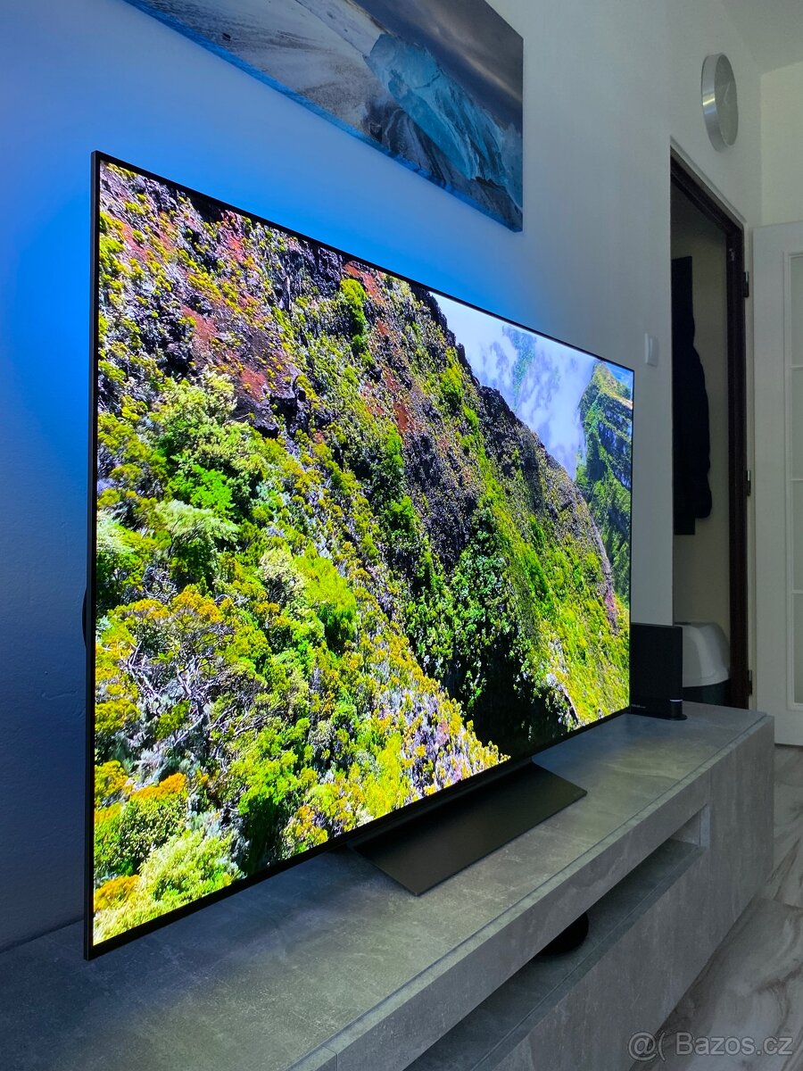 Televize LG Oled C5 55” - 4
