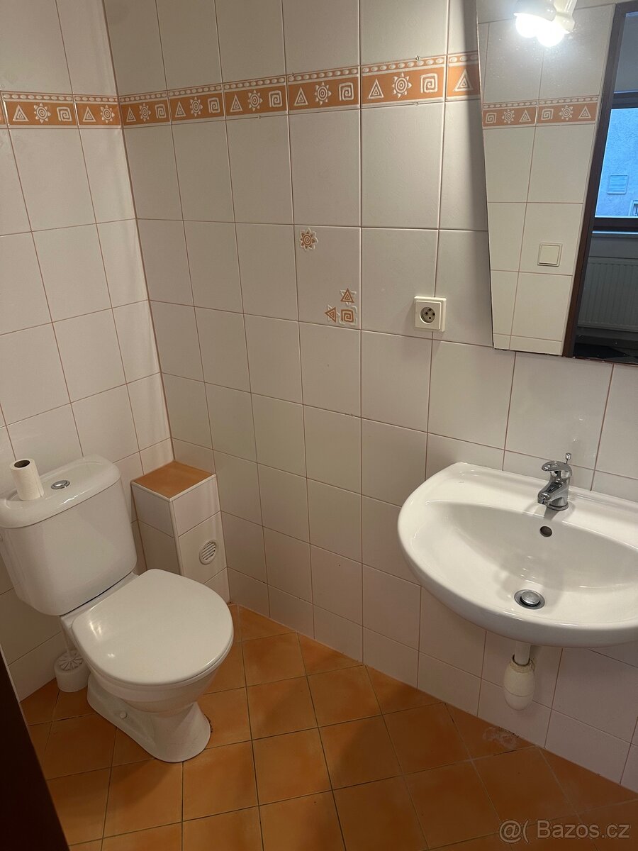 Pronájem byt 1+kk - 4