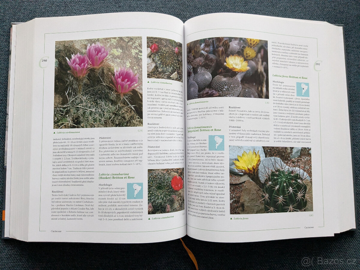 Encyklopedie kaktusů a jiných sukulentů - 4