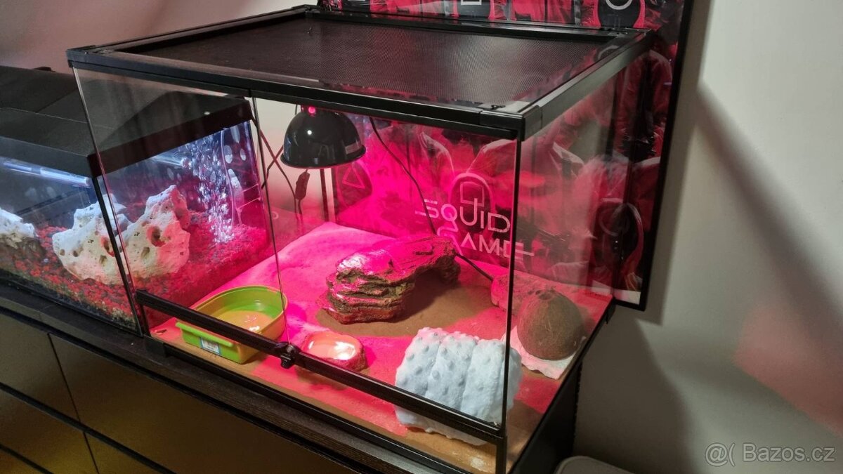 Terárium 60x45x45 bez vady - 4