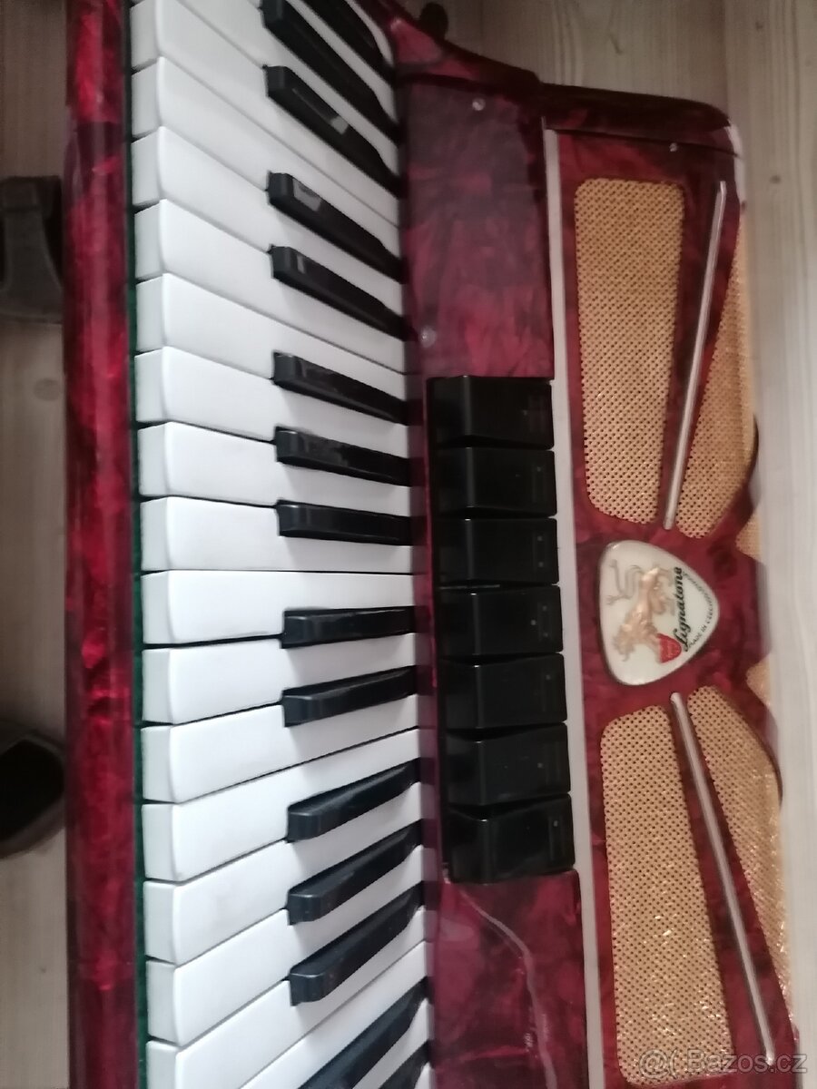 Akordeon Aida 120 basů - 4