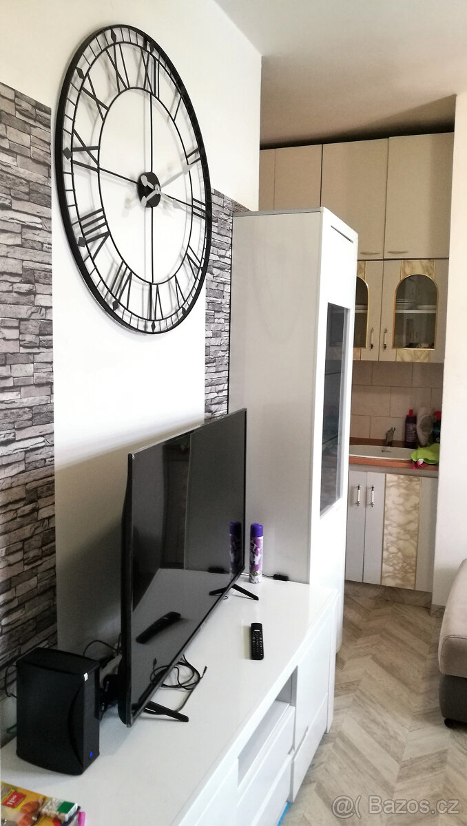 Pronájem 1+kk v bytovém domě se zahradou - 4