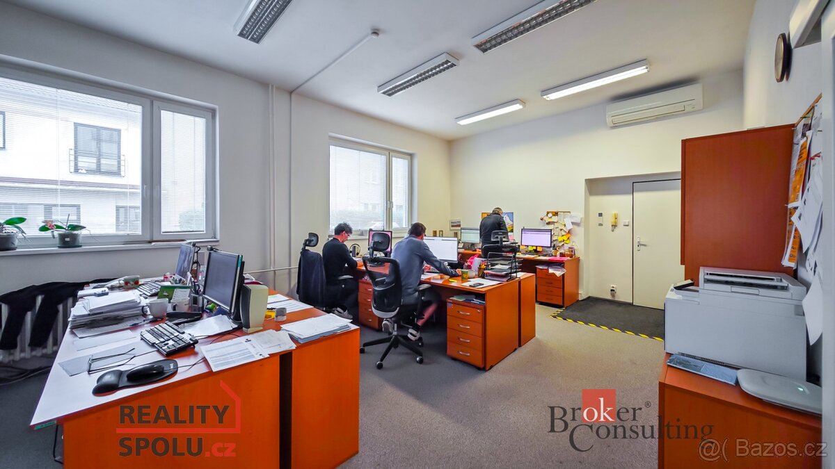 Prodej, komerční/obchodní prostory, 740 m2, V Ráji 906, Zele - 4